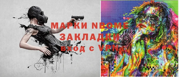 ГАЛЛЮЦИНОГЕННЫЕ ГРИБЫ Семёнов