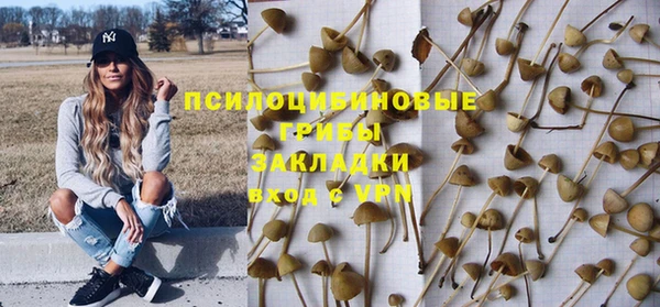 ГАЛЛЮЦИНОГЕННЫЕ ГРИБЫ Белоозёрский
