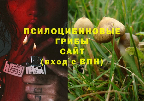 ГАЛЛЮЦИНОГЕННЫЕ ГРИБЫ Белоозёрский