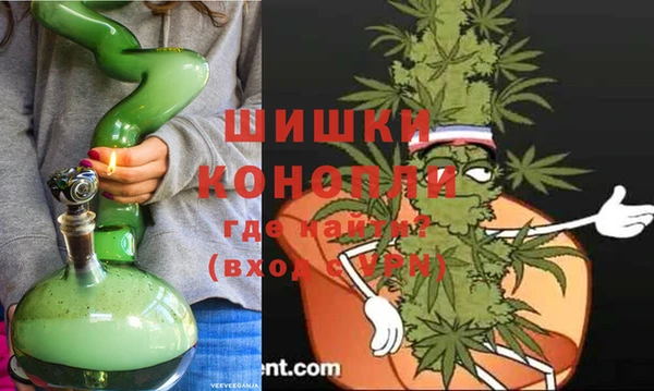 гидра Белокуриха