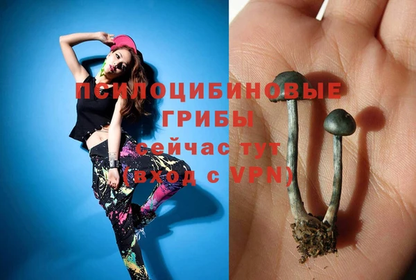ГАЛЛЮЦИНОГЕННЫЕ ГРИБЫ Белоозёрский