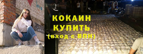 гидра Белокуриха