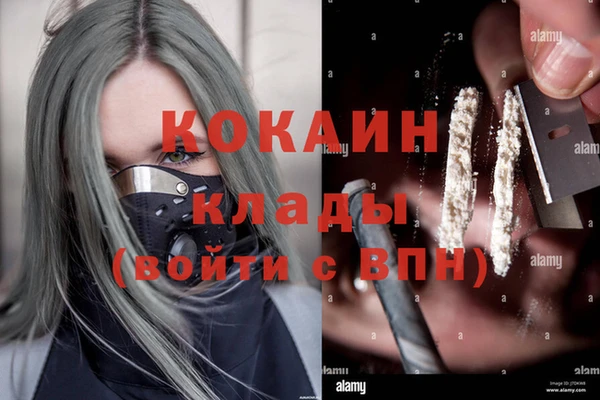 гидра Белокуриха
