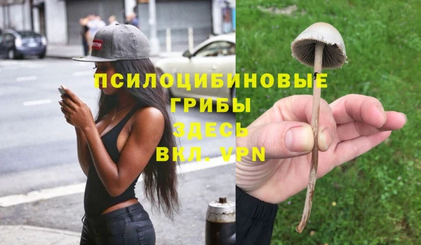 ГАЛЛЮЦИНОГЕННЫЕ ГРИБЫ Семёнов