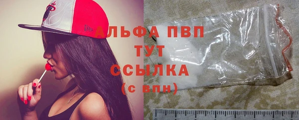 гидра Белокуриха