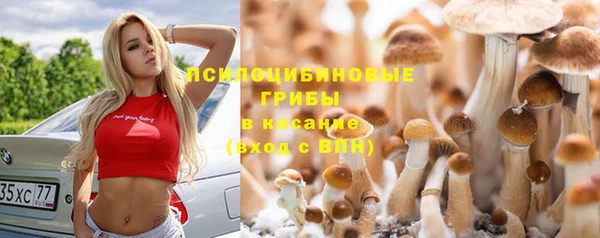 синтетический гашиш Беломорск